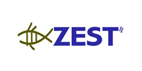 Buy Zest Cuttlefish Jig online at